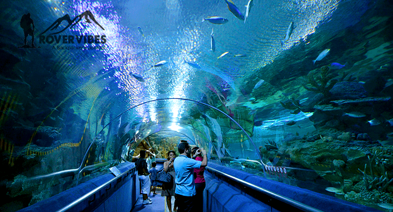 aquaria-klcc-what-to-see-and-what-to-do-in-kuala-lumpur